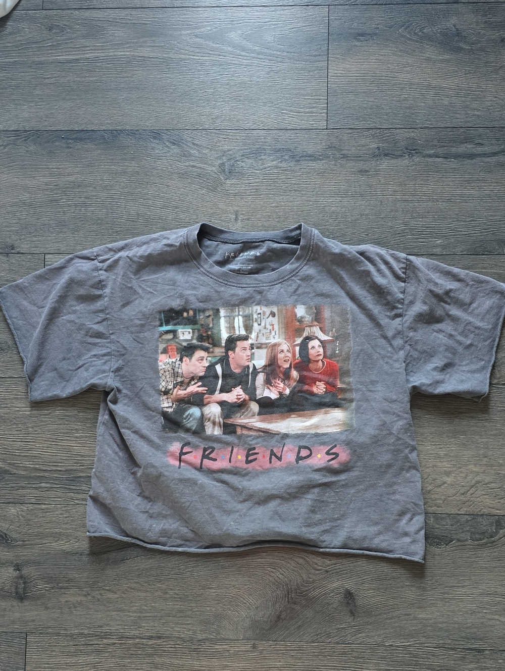 Friends The Television Series Graphic Tee Gray Acid Wash Crop Boxy Size L